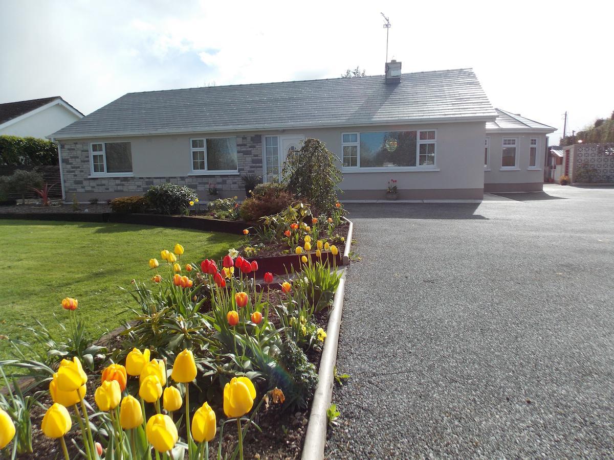 Barrow View Accommodation Mountmellick エクステリア 写真