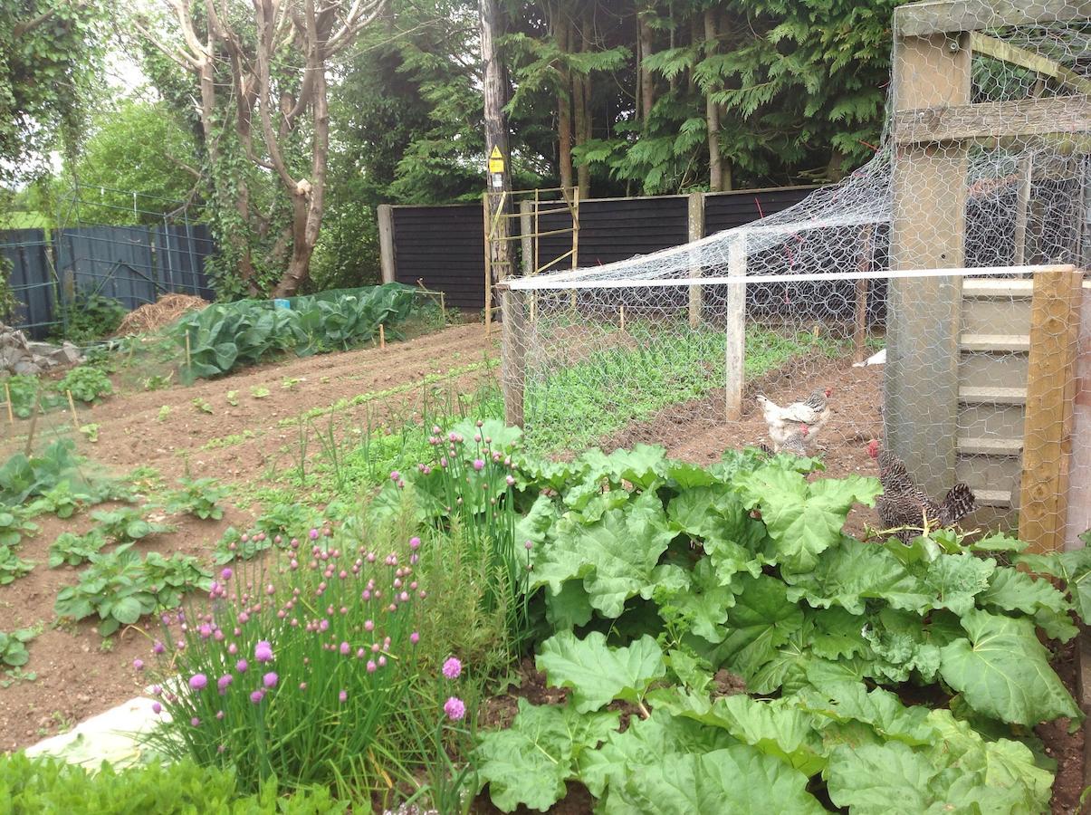 Barrow View Accommodation Mountmellick エクステリア 写真