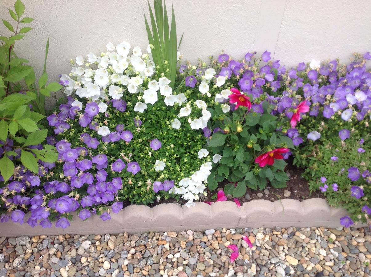 Barrow View Accommodation Mountmellick エクステリア 写真